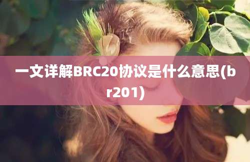 一文详解BRC20协议是什么意思(br201)