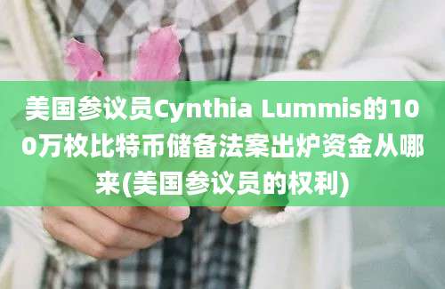 美国参议员Cynthia Lummis的100万枚比特币储备法案出炉资金从哪来(美国参议员的权利)