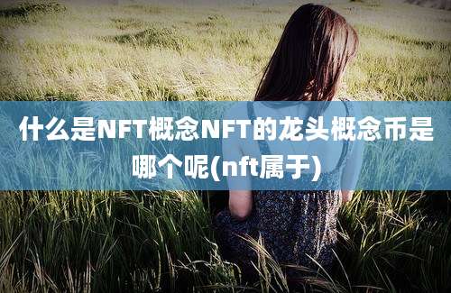 什么是NFT概念NFT的龙头概念币是哪个呢(nft属于)