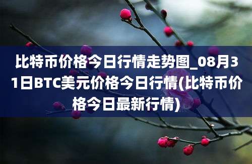 比特币价格今日行情走势图_08月31日BTC美元价格今日行情(比特币价格今日最新行情)