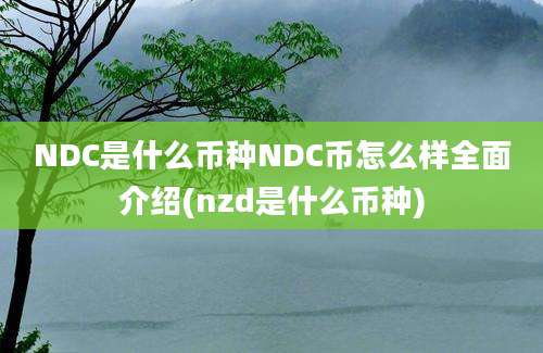 NDC是什么币种NDC币怎么样全面介绍(nzd是什么币种)