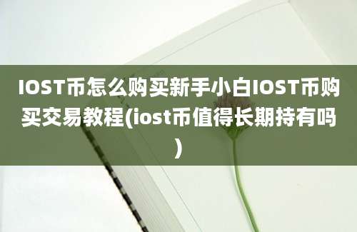 IOST币怎么购买新手小白IOST币购买交易教程(iost币值得长期持有吗)