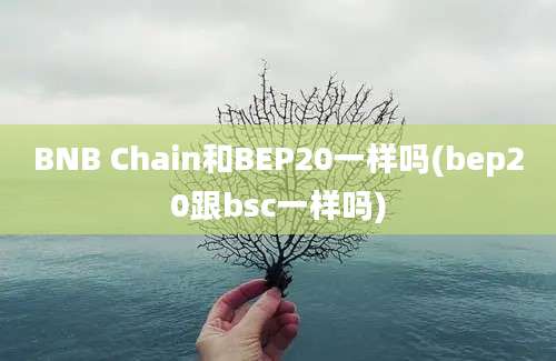 BNB Chain和BEP20一样吗(bep20跟bsc一样吗)