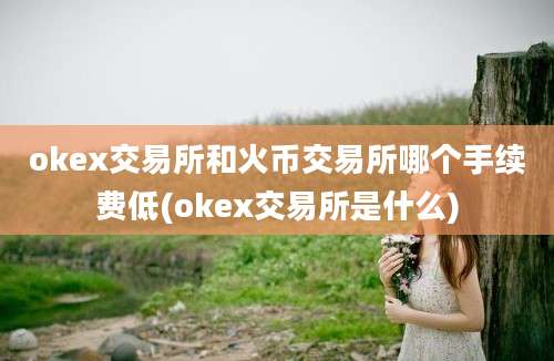 okex交易所和火币交易所哪个手续费低(okex交易所是什么)