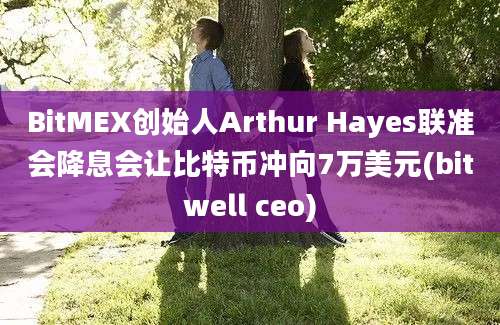 BitMEX创始人Arthur Hayes联准会降息会让比特币冲向7万美元(bitwell ceo)