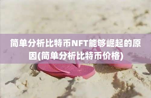 简单分析比特币NFT能够崛起的原因(简单分析比特币价格)