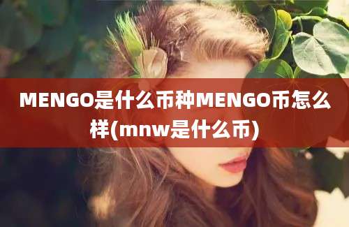 MENGO是什么币种MENGO币怎么样(mnw是什么币)