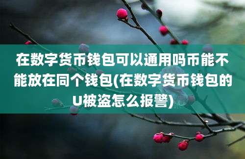 在数字货币钱包可以通用吗币能不能放在同个钱包(在数字货币钱包的U被盗怎么报警)