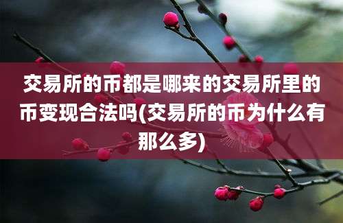 交易所的币都是哪来的交易所里的币变现合法吗(交易所的币为什么有那么多)