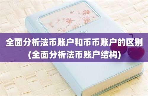 全面分析法币账户和币币账户的区别(全面分析法币账户结构)