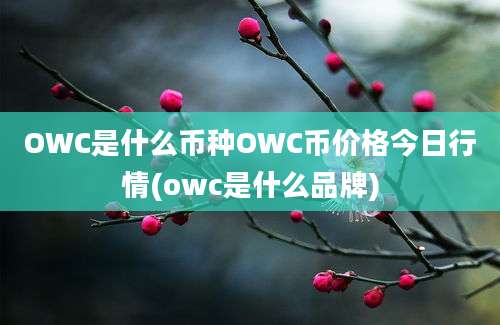 OWC是什么币种OWC币价格今日行情(owc是什么品牌)