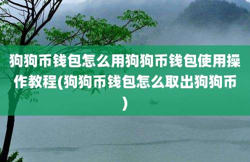 狗狗币钱包怎么用狗狗币钱包使用操作教程(狗狗币钱包怎么取出狗狗币)