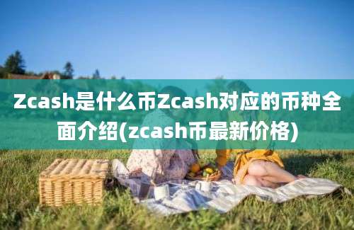 Zcash是什么币Zcash对应的币种全面介绍(zcash币最新价格)