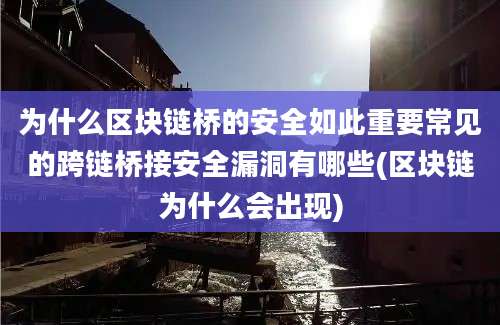 为什么区块链桥的安全如此重要常见的跨链桥接安全漏洞有哪些(区块链为什么会出现)