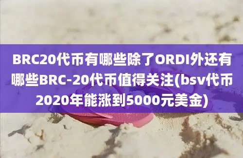 BRC20代币有哪些除了ORDI外还有哪些BRC-20代币值得关注(bsv代币2020年能涨到5000元美金)