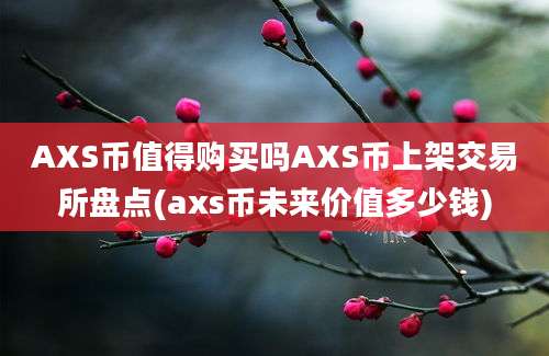 AXS币值得购买吗AXS币上架交易所盘点(axs币未来价值多少钱)