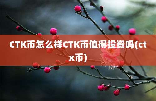 CTK币怎么样CTK币值得投资吗(ctx币)