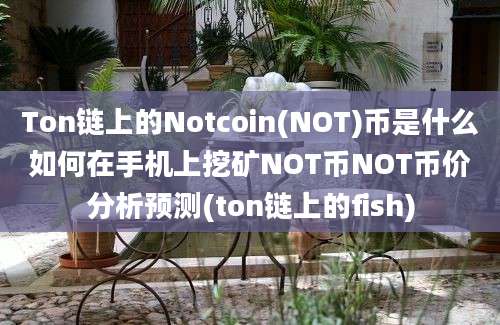 Ton链上的Notcoin(NOT)币是什么如何在手机上挖矿NOT币NOT币价分析预测(ton链上的fish)