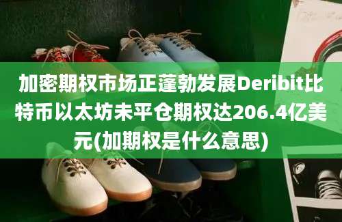 加密期权市场正蓬勃发展Deribit比特币以太坊未平仓期权达206.4亿美元(加期权是什么意思)