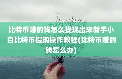 比特币赚的钱怎么提现出来新手小白比特币提现操作教程(比特币赚的钱怎么办)