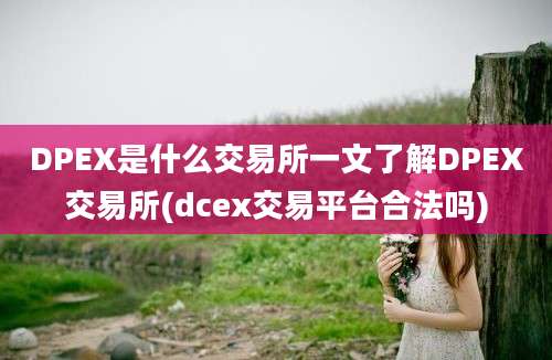 DPEX是什么交易所一文了解DPEX交易所(dcex交易平台合法吗)