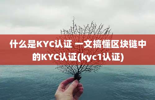 什么是KYC认证 一文搞懂区块链中的KYC认证(kyc1认证)