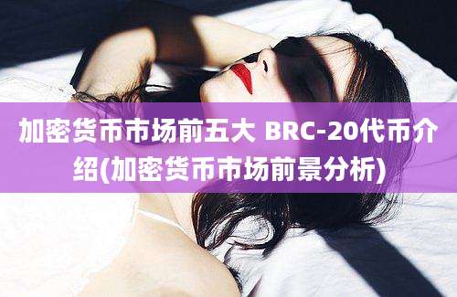 加密货币市场前五大 BRC-20代币介绍(加密货币市场前景分析)