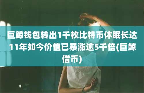 巨鲸钱包转出1千枚比特币休眠长达11年如今价值已暴涨逾5千倍(巨鲸借币)