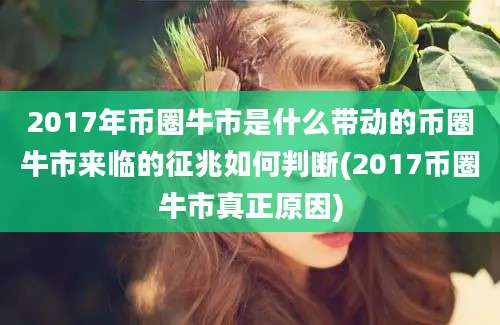 2017年币圈牛市是什么带动的币圈牛市来临的征兆如何判断(2017币圈牛市真正原因)