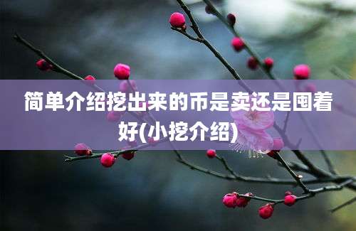 简单介绍挖出来的币是卖还是囤着好(小挖介绍)