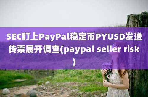 SEC盯上PayPal稳定币PYUSD发送传票展开调查(paypal seller risk)