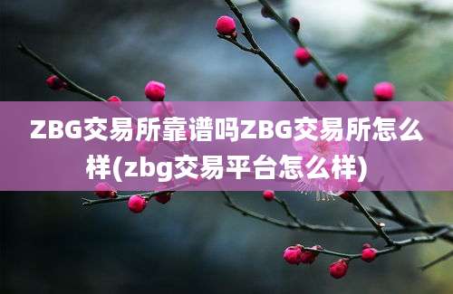 ZBG交易所靠谱吗ZBG交易所怎么样(zbg交易平台怎么样)