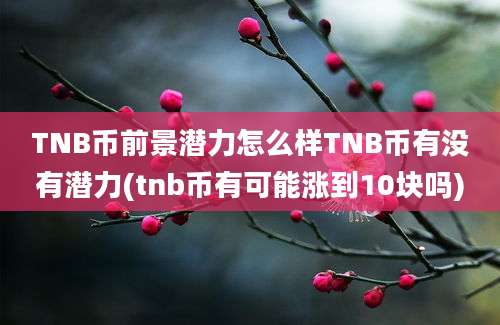 TNB币前景潜力怎么样TNB币有没有潜力(tnb币有可能涨到10块吗)