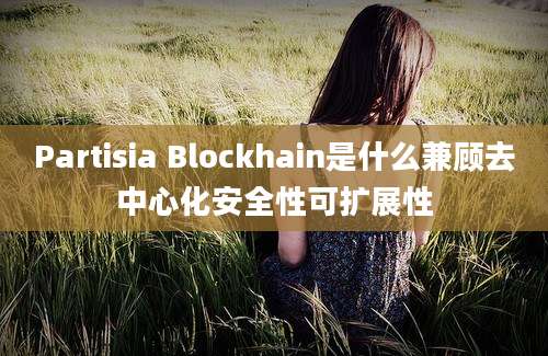 Partisia Blockhain是什么兼顾去中心化安全性可扩展性