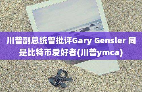 川普副总统曾批评Gary Gensler 同是比特币爱好者(川普ymca)