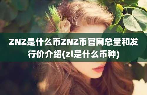 ZNZ是什么币ZNZ币官网总量和发行价介绍(zl是什么币种)