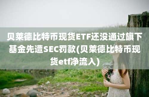 贝莱德比特币现货ETF还没通过旗下基金先遭SEC罚款(贝莱德比特币现货etf净流入)