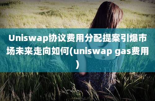 Uniswap协议费用分配提案引爆市场未来走向如何(uniswap gas费用)