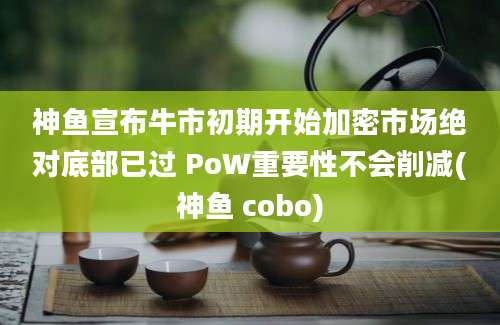 神鱼宣布牛市初期开始加密市场绝对底部已过 PoW重要性不会削减(神鱼 cobo)