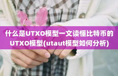 什么是UTXO模型一文读懂比特币的UTXO模型(utaut模型如何分析)