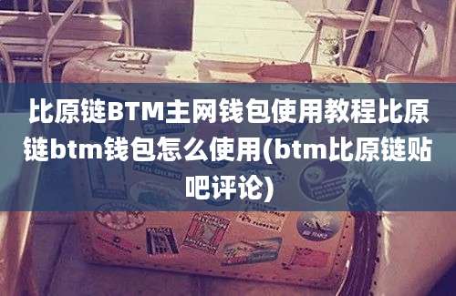 比原链BTM主网钱包使用教程比原链btm钱包怎么使用(btm比原链贴吧评论)