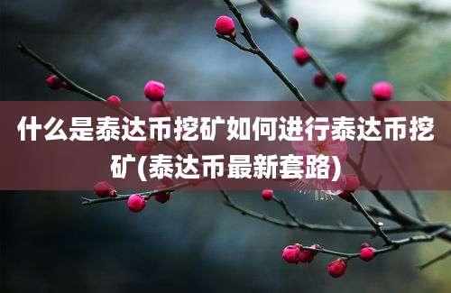 什么是泰达币挖矿如何进行泰达币挖矿(泰达币最新套路)