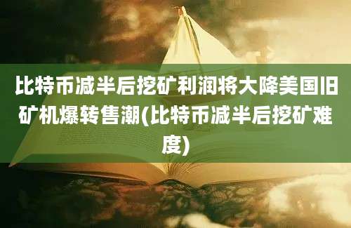 比特币减半后挖矿利润将大降美国旧矿机爆转售潮(比特币减半后挖矿难度)