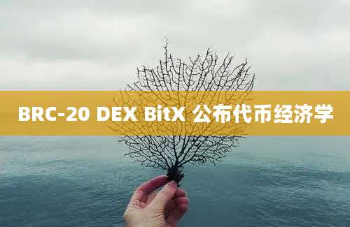 BRC-20 DEX BitX 公布代币经济学