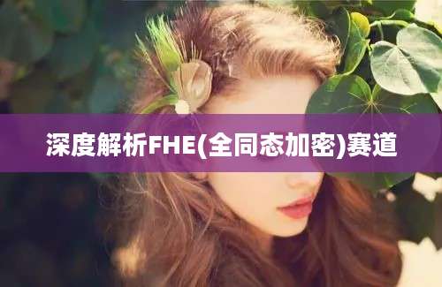 深度解析FHE(全同态加密)赛道