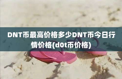 DNT币最高价格多少DNT币今日行情价格(d0t币价格)