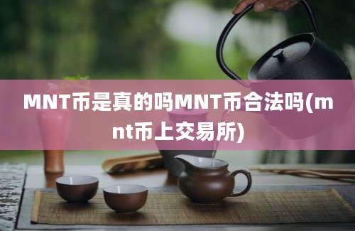 MNT币是真的吗MNT币合法吗(mnt币上交易所)