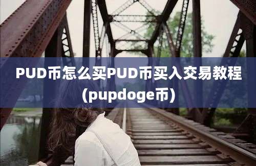 PUD币怎么买PUD币买入交易教程(pupdoge币)