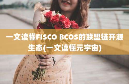 一文读懂FISCO BCOS的联盟链开源生态(一文读懂元宇宙)