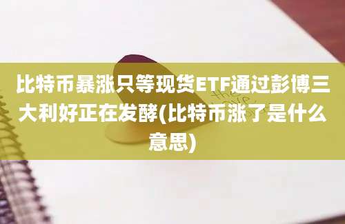 比特币暴涨只等现货ETF通过彭博三大利好正在发酵(比特币涨了是什么意思)